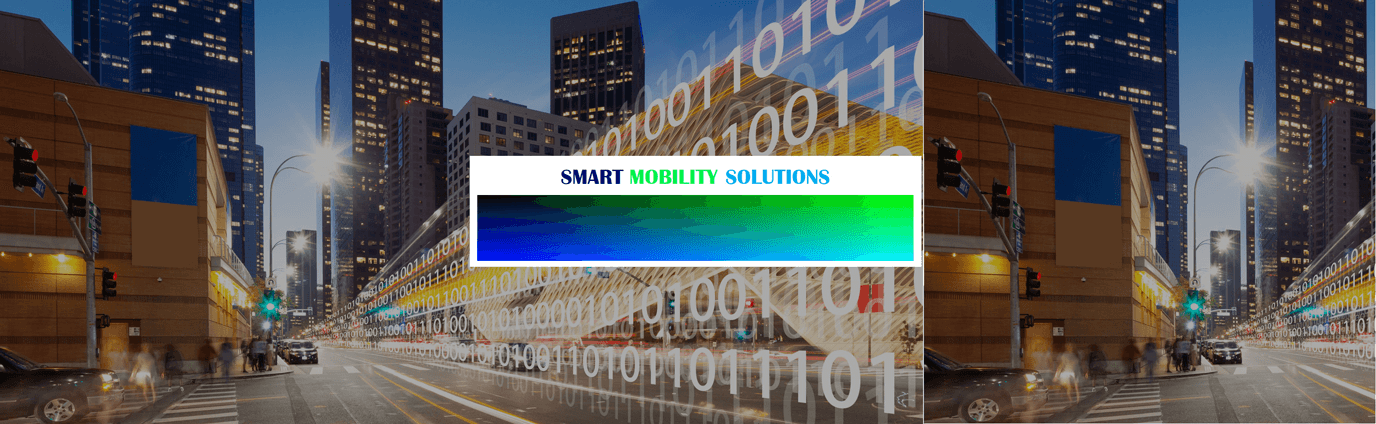Smart Cities, Green Cities, Gated Communities